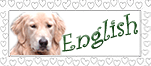 Pension, Pets inn, Pet camp, Boarding and vacations for dog Montreal, Laval
