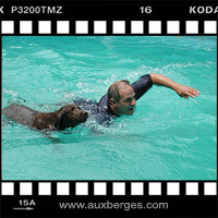 Section vidéo de notre pension pour chien