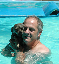 Les chiens se reposent au salon